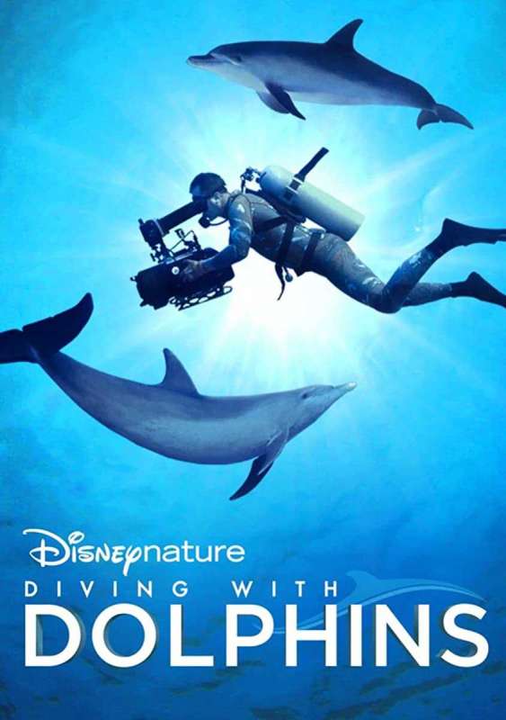 فيلم Diving with Dolphins 2020 مترجم