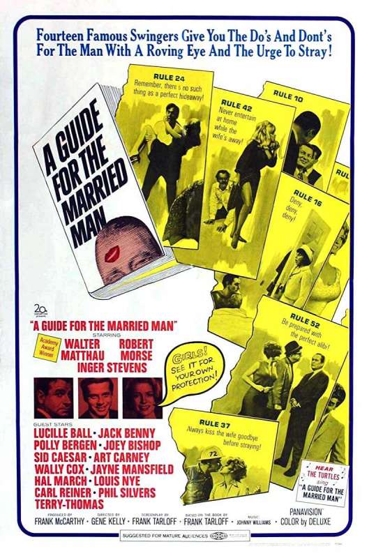 فيلم A Guide for the Married Man 1967 مترجم