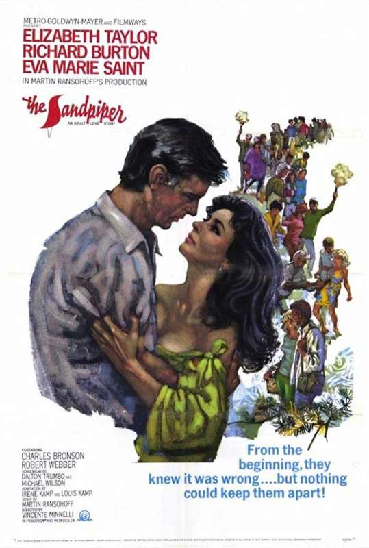 فيلم The Sandpiper 1965 مترجم