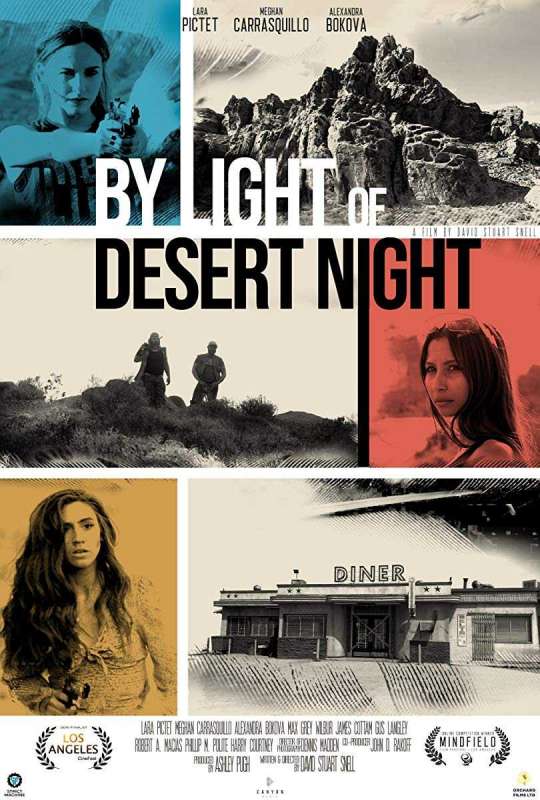 فيلم By Light of Desert Night 2019 مترجم فيلم By Light of Desert Night 2019 مترجم