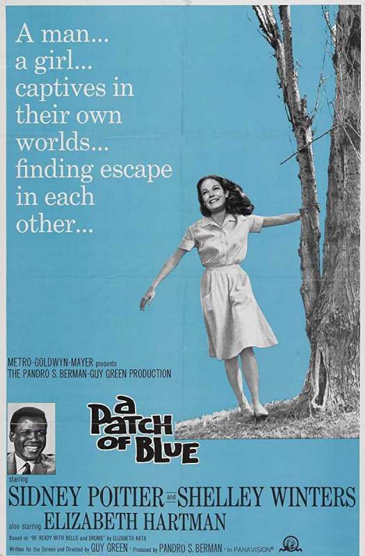 فيلم A Patch of Blue 1965 مترجم