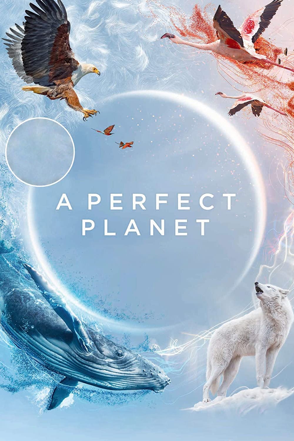 مسلسل A Perfect Planet الموسم الاول حلقة 2