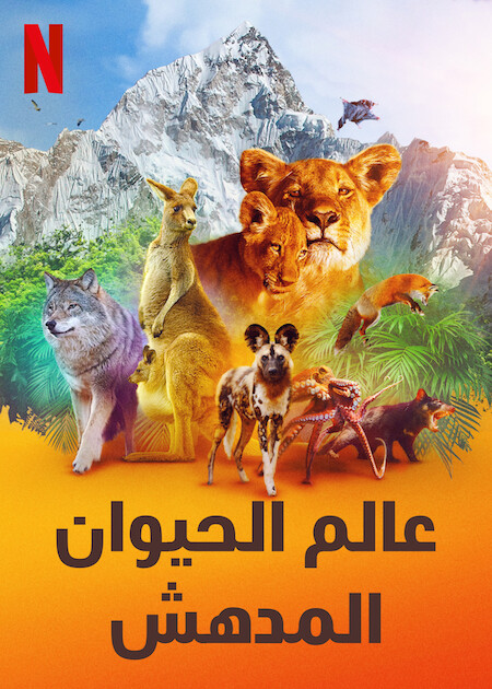 مسلسل Animal الموسم الثاني حلقة 2