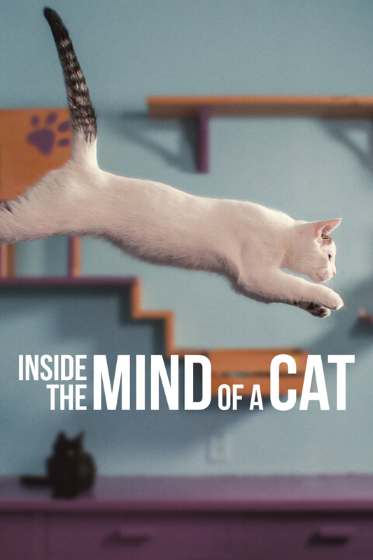 فيلم Inside the Mind of a Cat 2022 مترجم