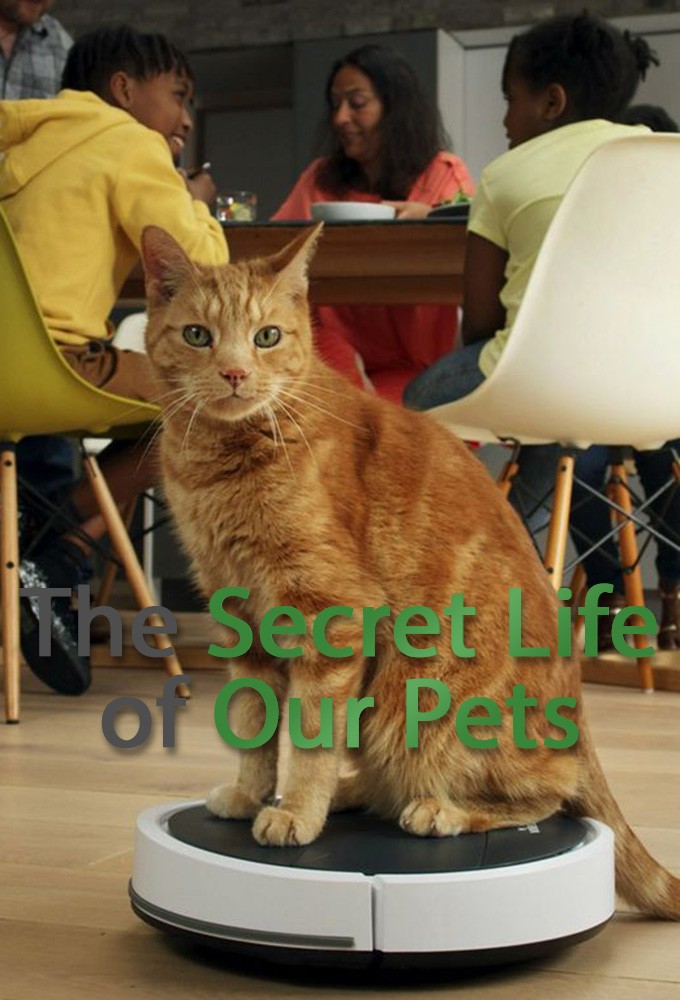 مسلسل The Secret Life of Our Pets الموسم الاول حلقة 1