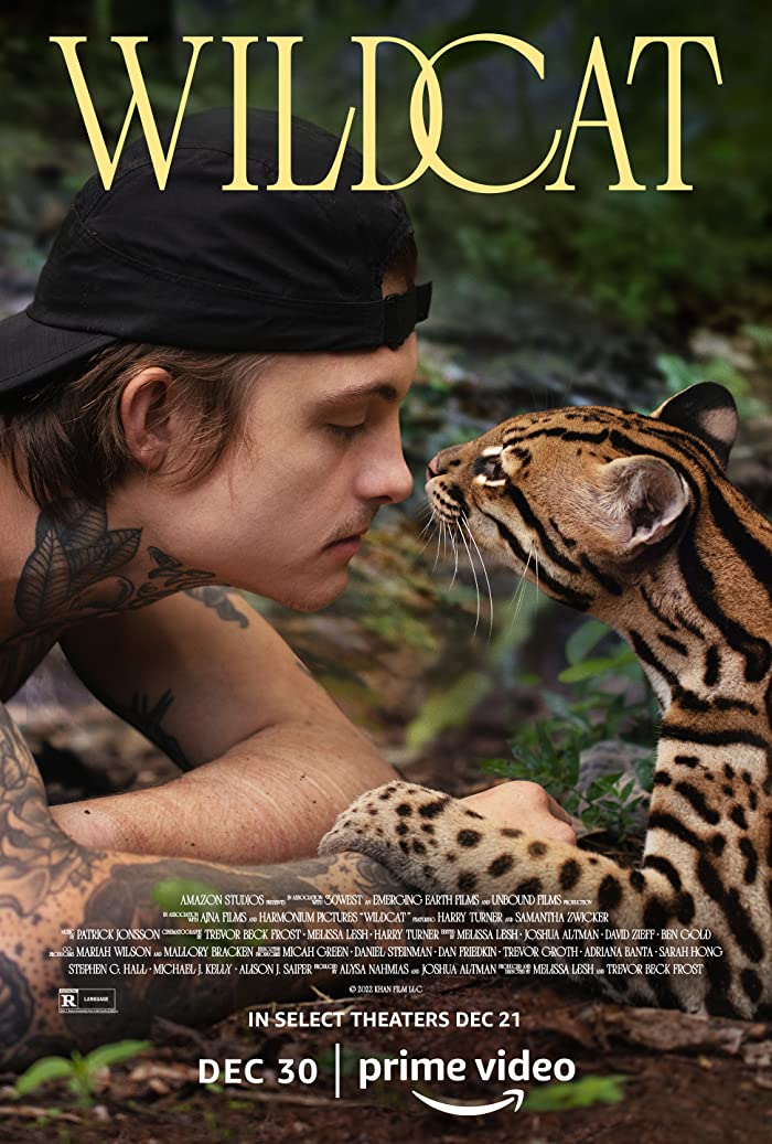 فيلم Wildcat 2022 مترجم فيلم Wildcat 2022 مترجم