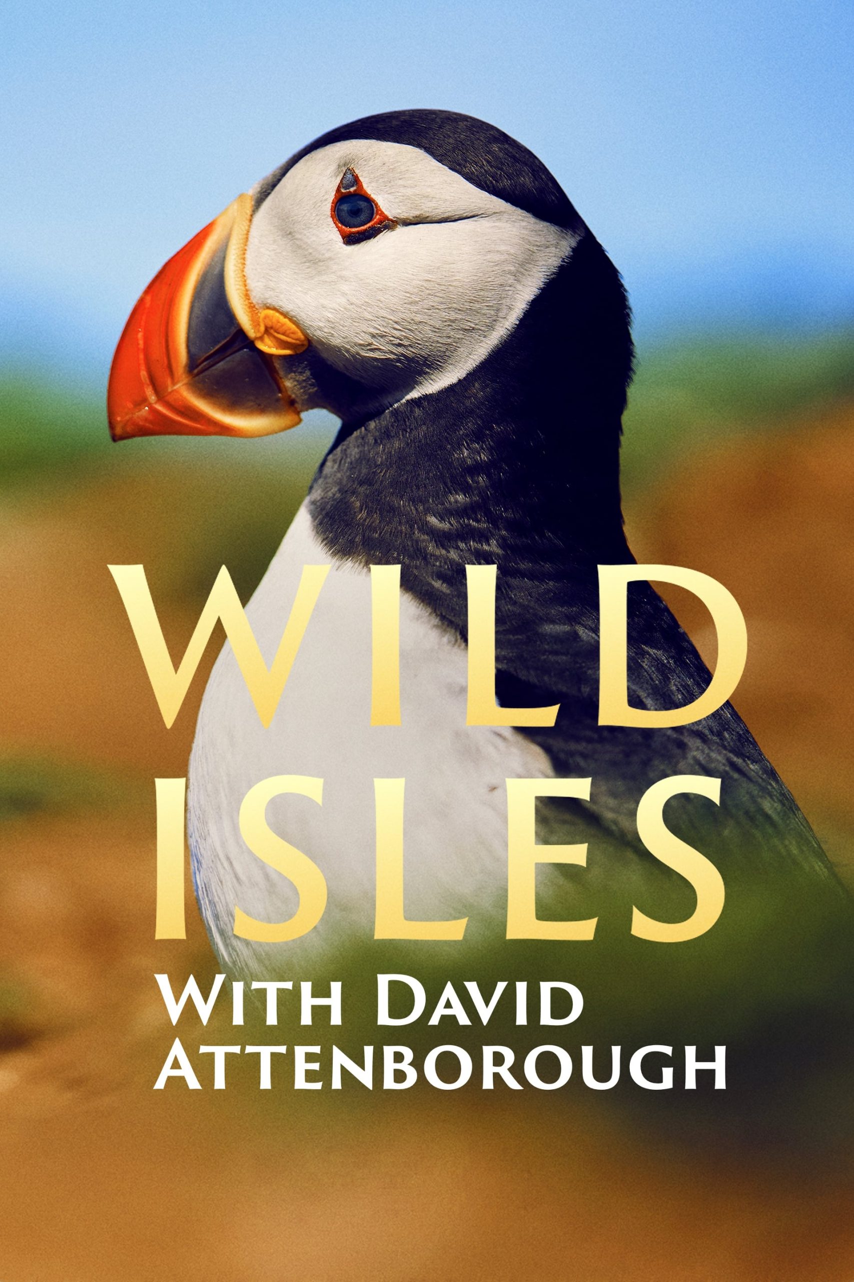 مسلسل Wild Isles الموسم الاول حلقة 5 والاخيرة