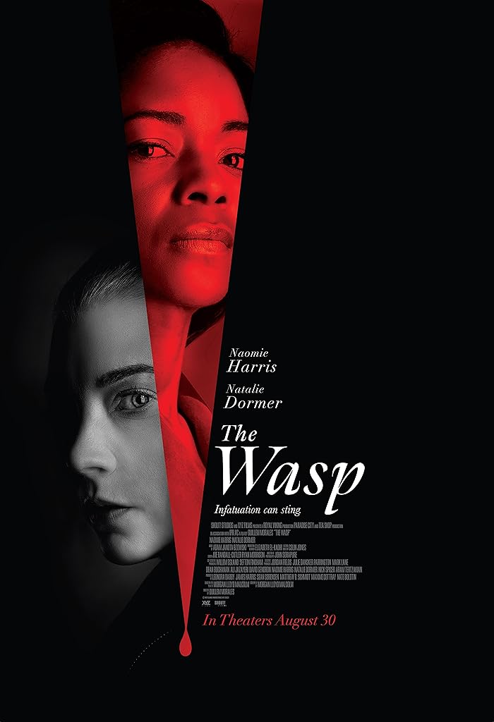 فيلم The Wasp 2024 مترجم فيلم The Wasp 2024 مترجم