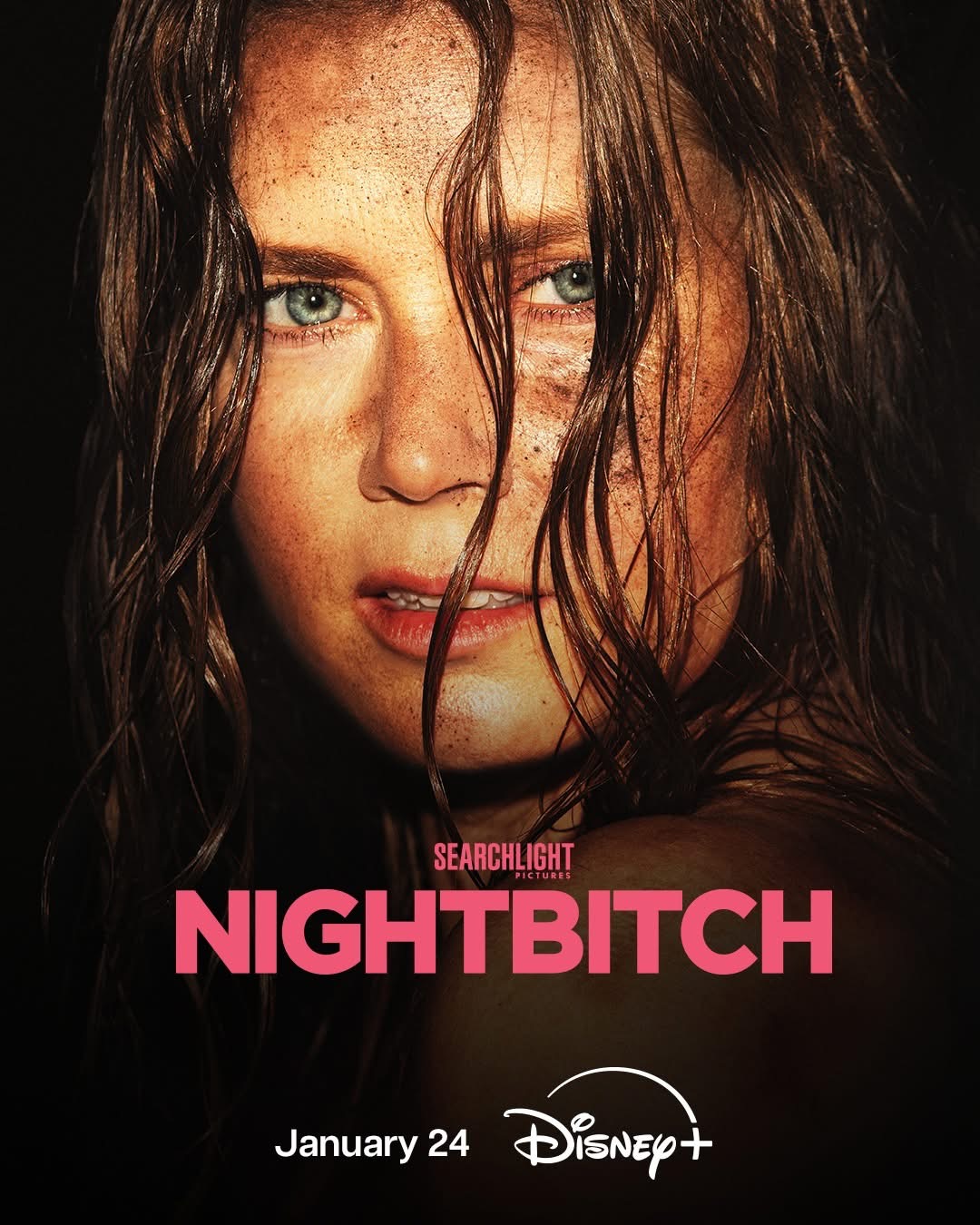 فيلم Nightbitch 2024 مترجم