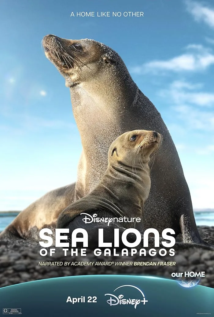 فيلم Sea Lions of the Galapagos 2025 مترجم فيلم Sea Lions of the Galapagos 2025 مترجم