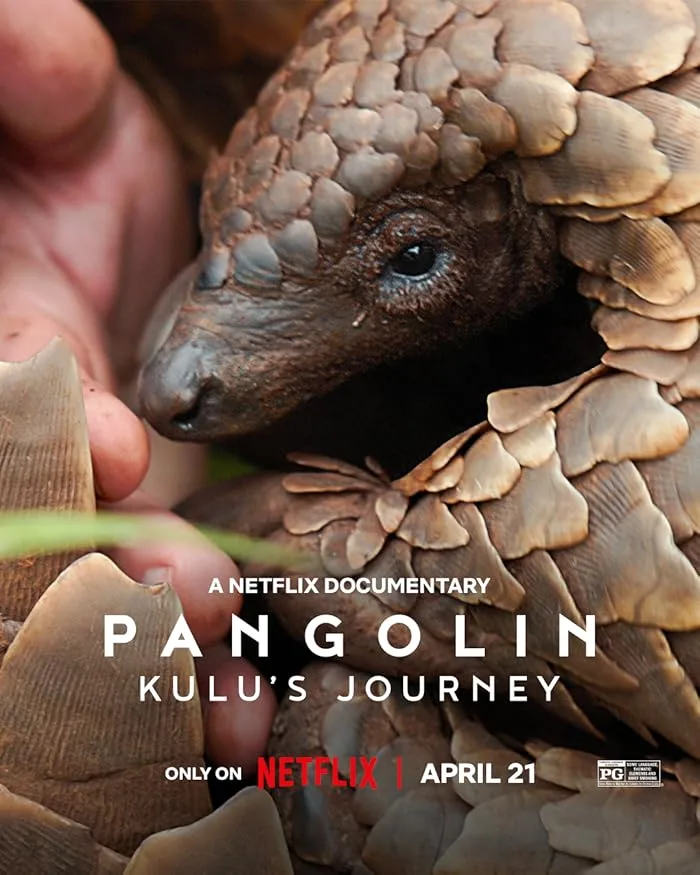 فيلم Pangolin: Kulu’s Journey 2025 مترجم فيلم Pangolin: Kulu’s Journey 2025 مترجم